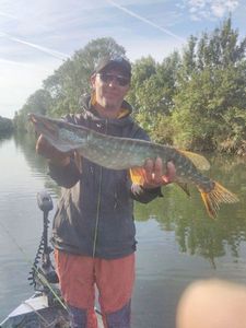 Northern Pike