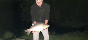 Mirror Carp