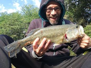 Largemouth Bass