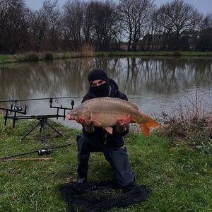 Mirror Carp