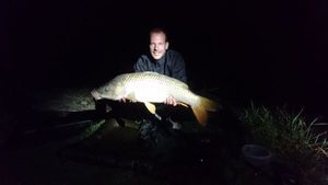 Common Carp