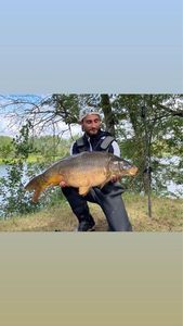 Mirror Carp