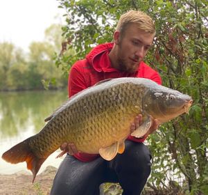 Common Carp
