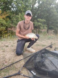 Common Carp