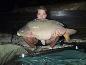 Mirror Carp