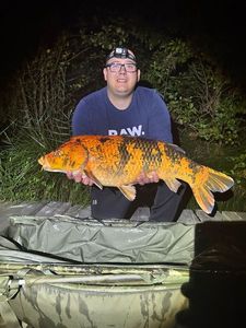 Koï Fish