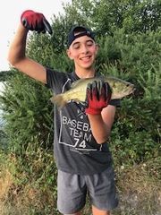 Largemouth Bass