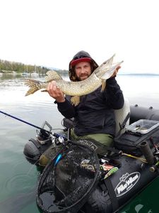 Northern Pike