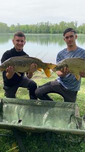 Leather Carp