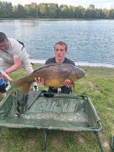 Common Carp