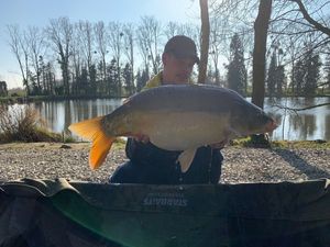 Mirror Carp