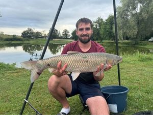 Grass Carp