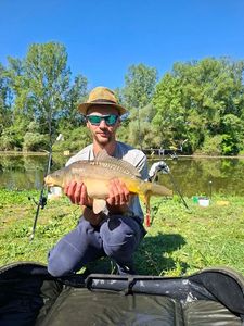 Mirror Carp