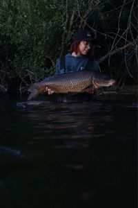 Common Carp