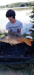 Mirror Carp