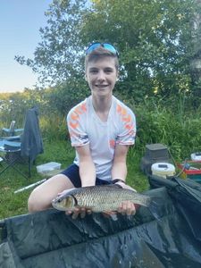 Grass Carp