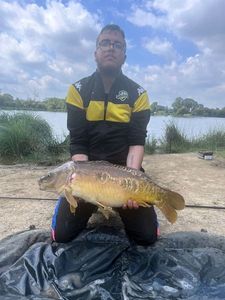 Mirror Carp