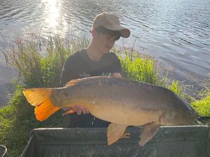 Mirror Carp