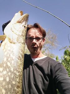 Chain Pickerel