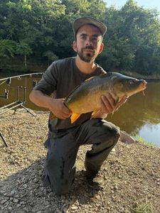 Mirror Carp