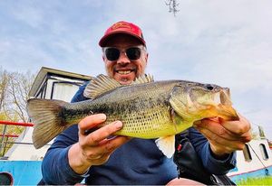 Largemouth Bass