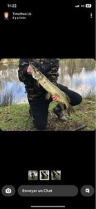 Northern Pike