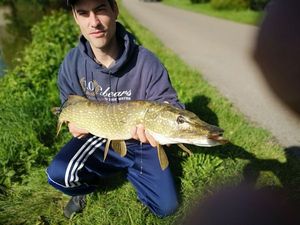 Northern Pike