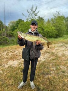 Northern Pike