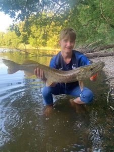 Northern Pike