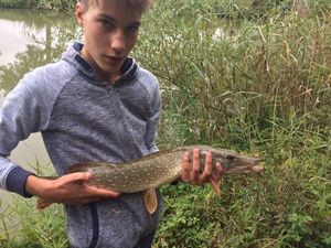 Northern Pike