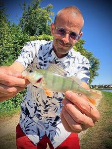 European Perch