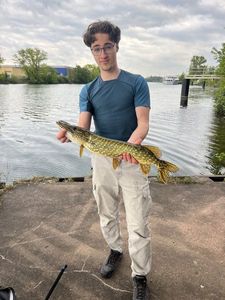 Northern Pike