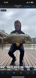 Common Carp