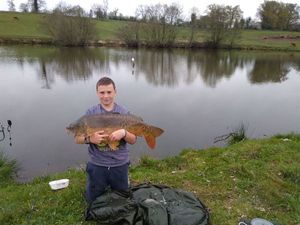 Mirror Carp