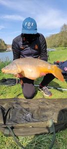 Mirror Carp