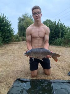 Common Carp