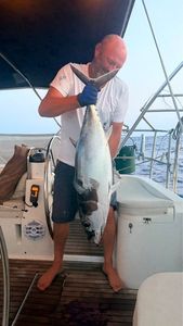 Bigeye Tuna (Pacific)