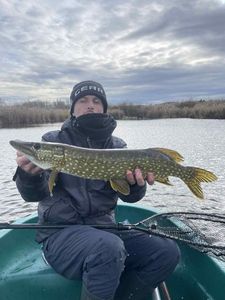 Northern Pike