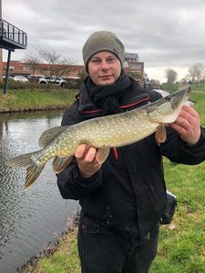 Northern Pike