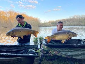 Mirror Carp