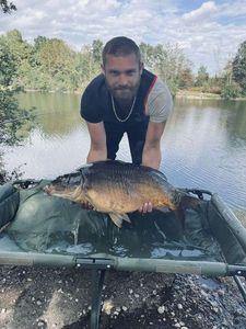 Mirror Carp