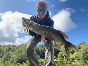 Northern Pike