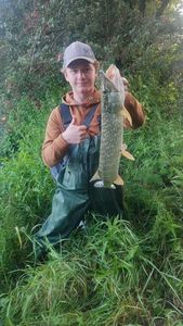 Northern Pike