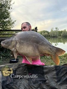Leather Carp