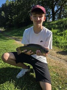Tench