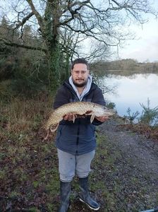 Northern Pike