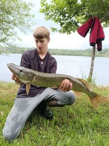 Northern Pike