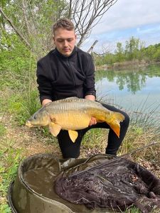 Common Carp