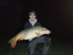 Mirror Carp