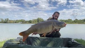 Common Carp